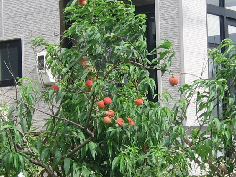 f:id:atarou:20130819070919j:image