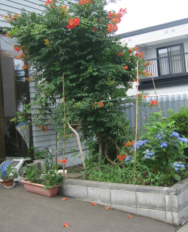 f:id:atarou:20130819083946j:image