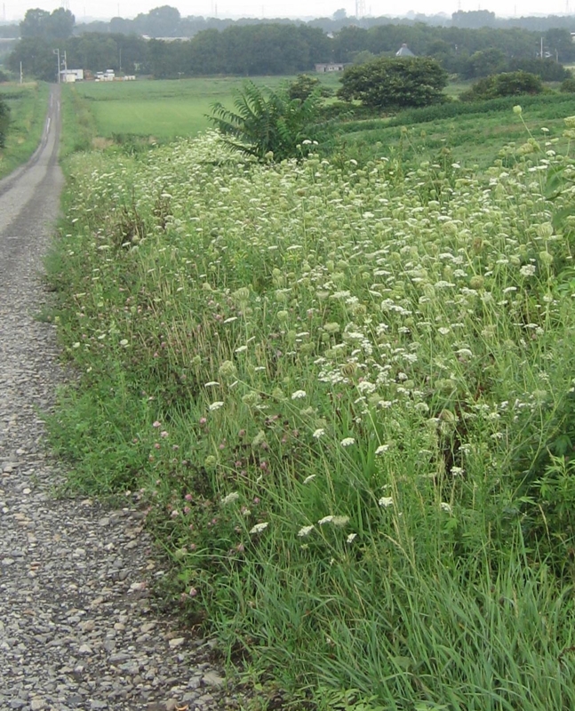 f:id:atarou:20130820084306j:image