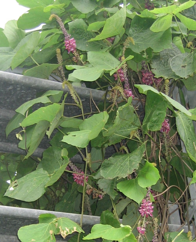 f:id:atarou:20130820084309j:image