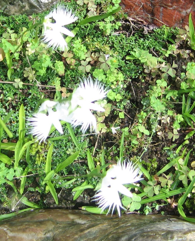 f:id:atarou:20130821070538j:image