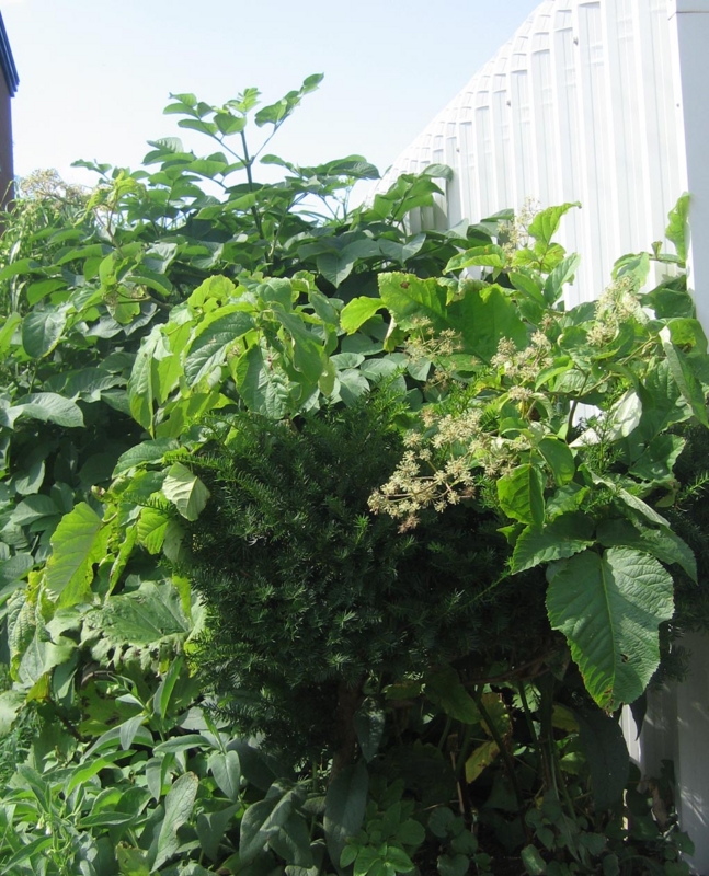 f:id:atarou:20130821083946j:image