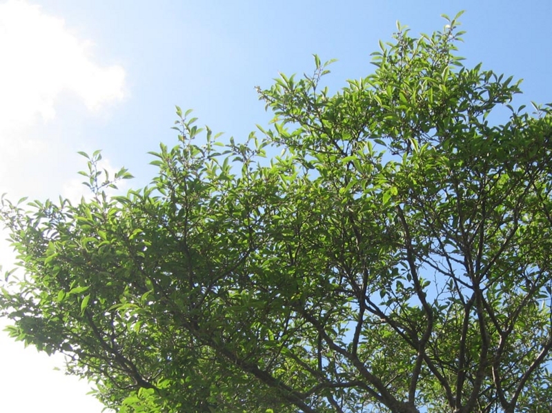 f:id:atarou:20130821084841j:image