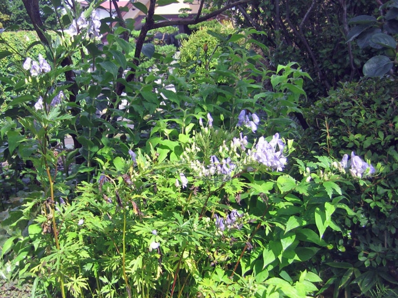f:id:atarou:20130828130155j:image f:id:atarou:20130828130155j:image