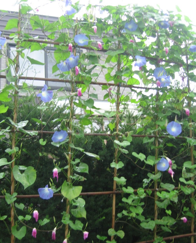 f:id:atarou:20130828130156j:image f:id:atarou:20130828130156j:image