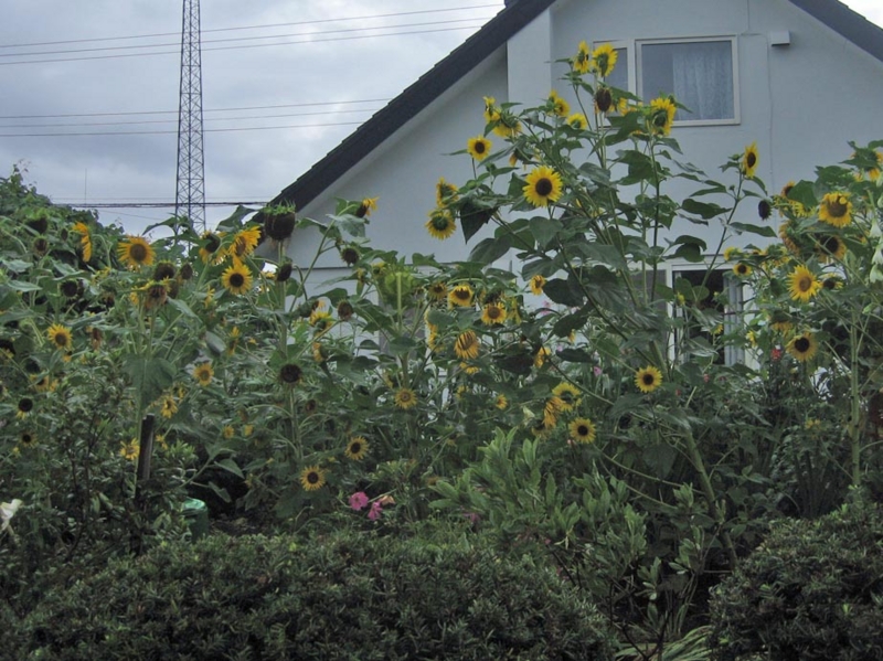 f:id:atarou:20130828130201j:image f:id:atarou:20130828130201j:image