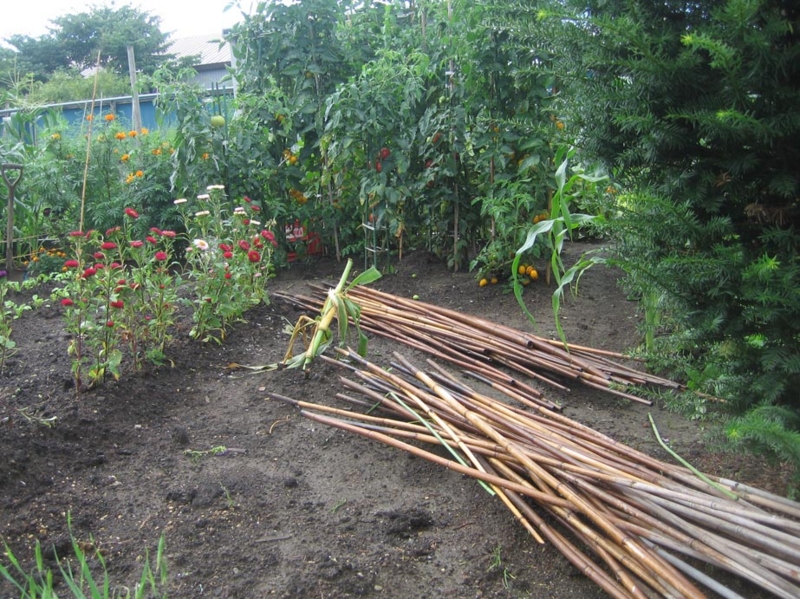 f:id:atarou:20130828130411j:image f:id:atarou:20130828130411j:image