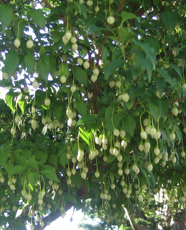 f:id:atarou:20130828132156j:image