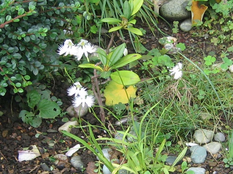f:id:atarou:20130831061835j:image