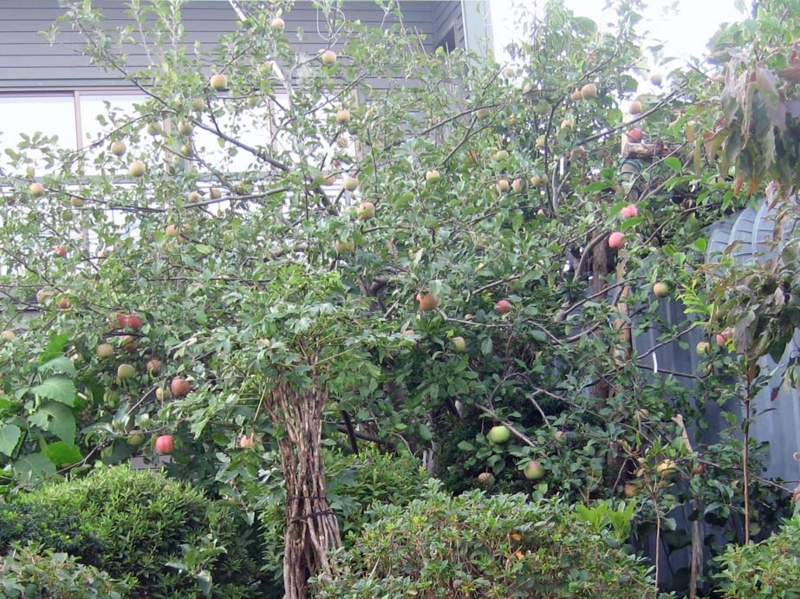 f:id:atarou:20130921070620j:image