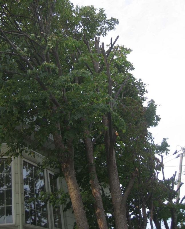 f:id:atarou:20130921071501j:image