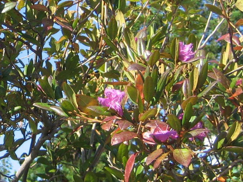 f:id:atarou:20131003064944j:image f:id:atarou:20131003064944j:image