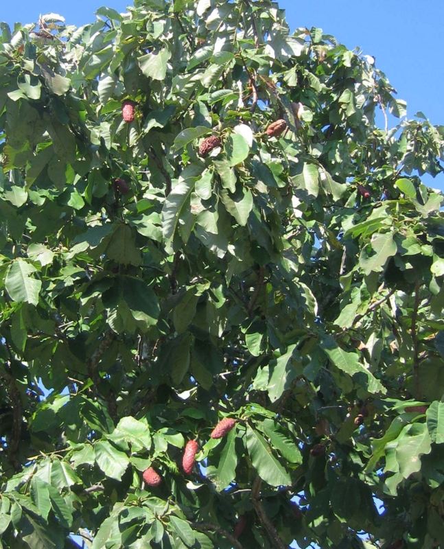 f:id:atarou:20131003065704j:image f:id:atarou:20131003065704j:image