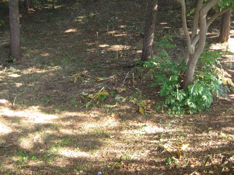 f:id:atarou:20131003070759j:image f:id:atarou:20131003070759j:image