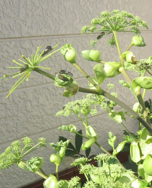 f:id:atarou:20131003070800j:image f:id:atarou:20131003070800j:image