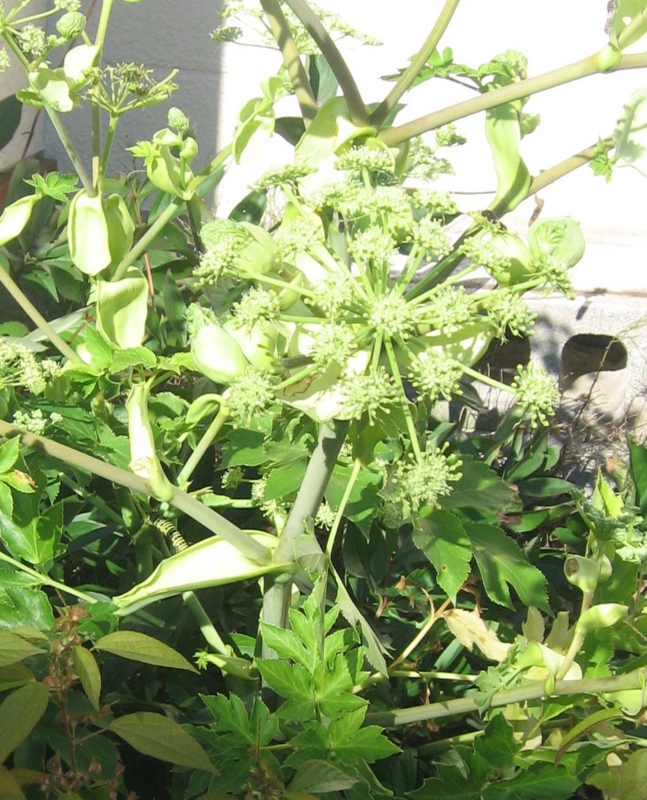 f:id:atarou:20131003070802j:image f:id:atarou:20131003070802j:image