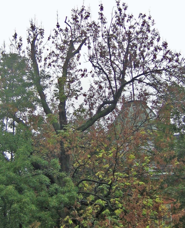 f:id:atarou:20131012060617j:image