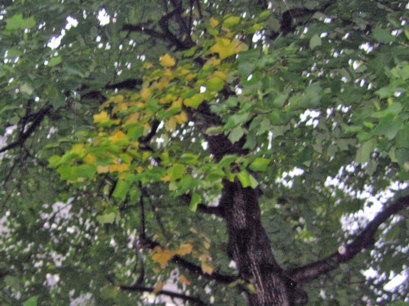 f:id:atarou:20131012064420j:image