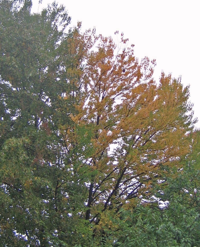 f:id:atarou:20131012064422j:image