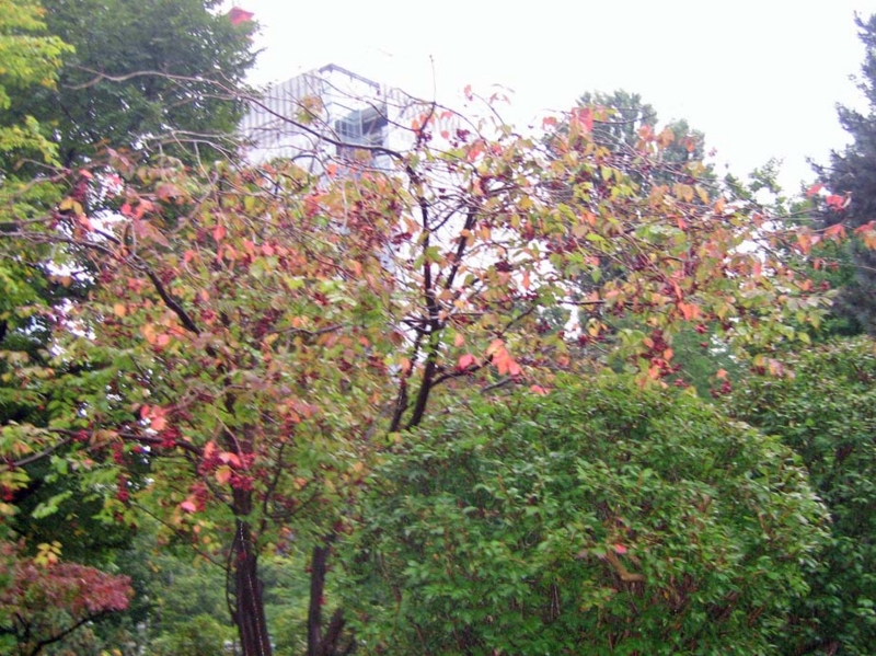 f:id:atarou:20131012064424j:image