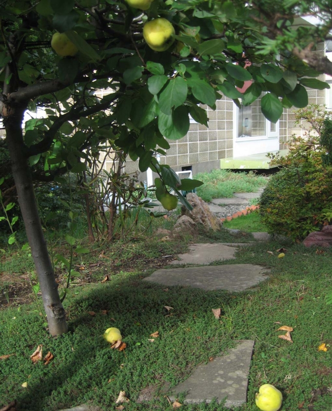 f:id:atarou:20131013064046j:image