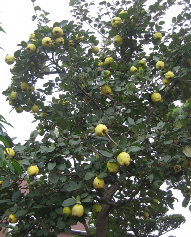 f:id:atarou:20131013071228j:image