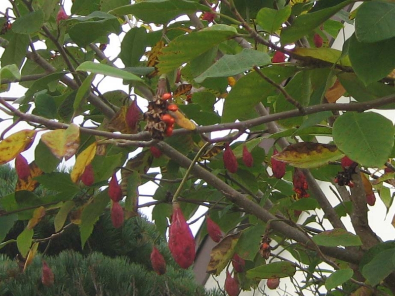 f:id:atarou:20131013071232j:image
