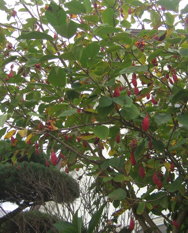 f:id:atarou:20131013071234j:image