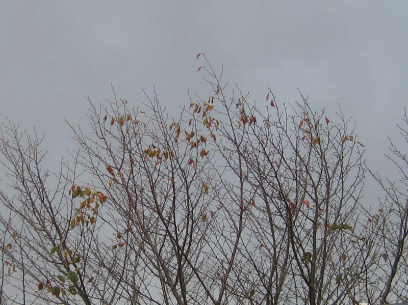 f:id:atarou:20131013092855j:image