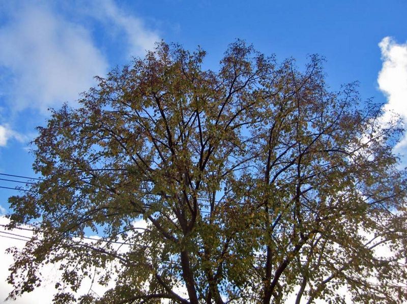 f:id:atarou:20131013093132j:image