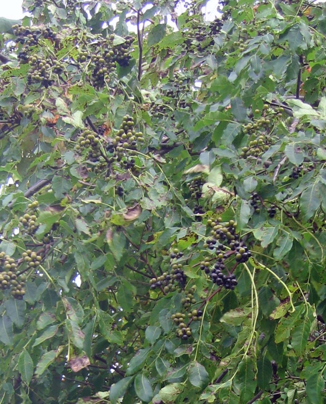 f:id:atarou:20131018085601j:image