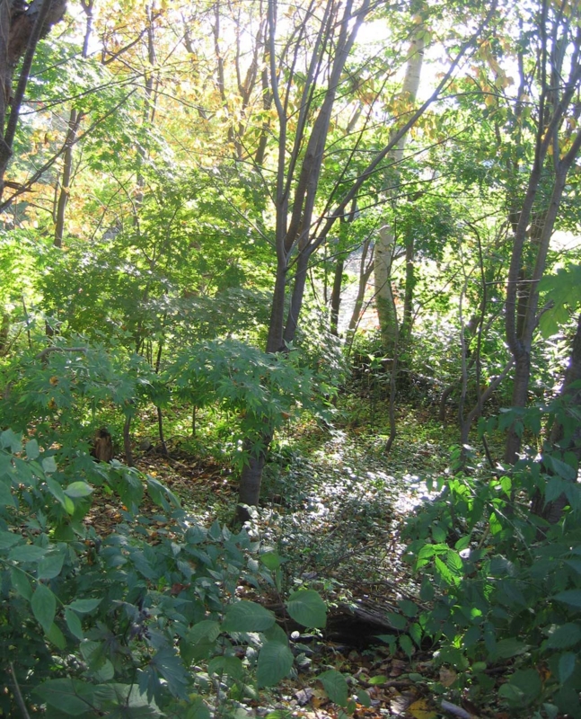 f:id:atarou:20131023085259j:image f:id:atarou:20131023085259j:image