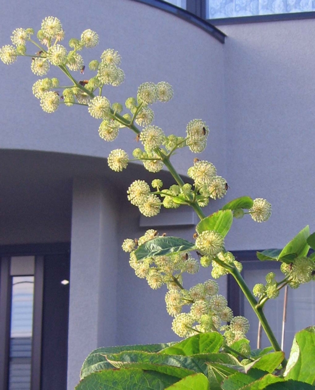 f:id:atarou:20131023090123j:image f:id:atarou:20131023090123j:image