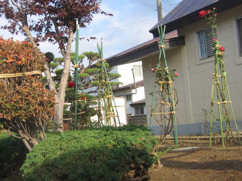 f:id:atarou:20131024085732j:image