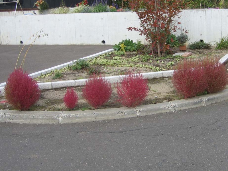 f:id:atarou:20131024090500j:image
