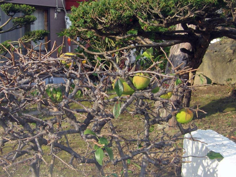 f:id:atarou:20131024091355j:image