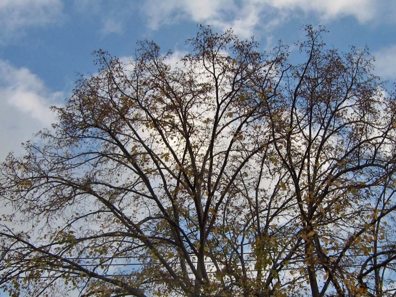 f:id:atarou:20131024091739j:image