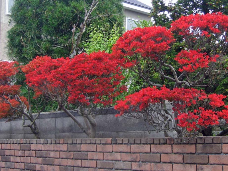f:id:atarou:20131025062537j:image