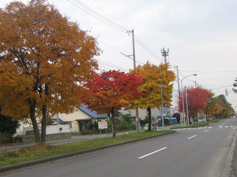 f:id:atarou:20131025064939j:image