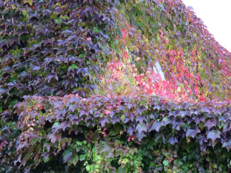 f:id:atarou:20131108173117j:image