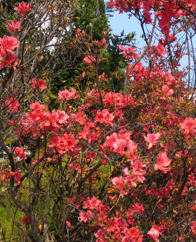 f:id:atarou:20131110091002j:image