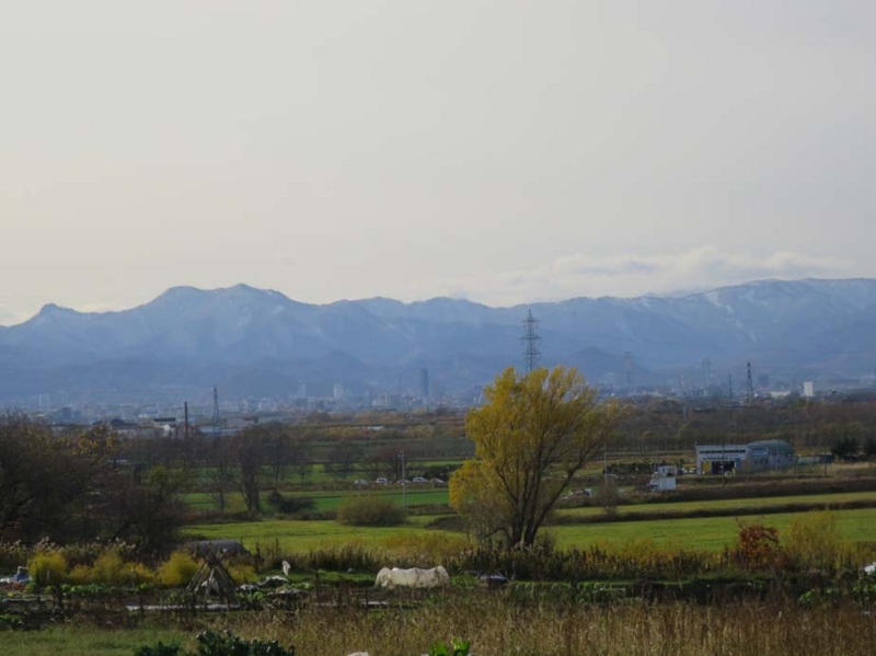 f:id:atarou:20131110091712j:image