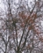 20131126085023