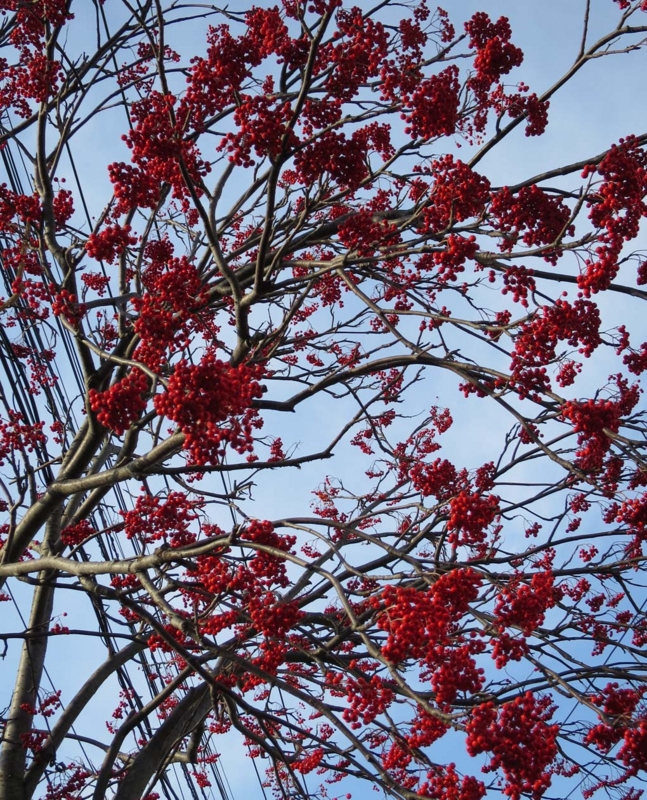 f:id:atarou:20131128065336j:image