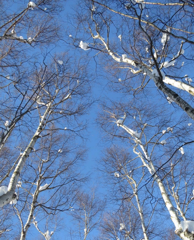 f:id:atarou:20131225070617j:image