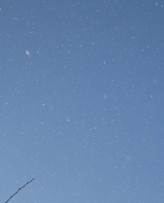 f:id:atarou:20140102090441j:image