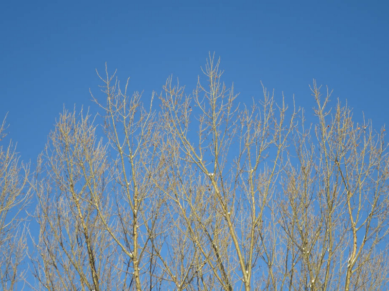 f:id:atarou:20140105090127j:image