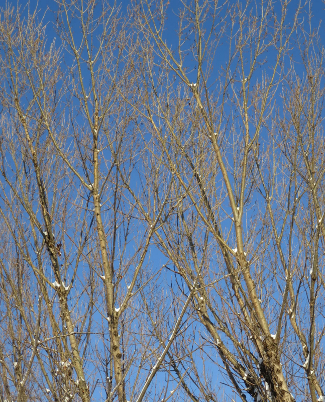 f:id:atarou:20140105090128j:image