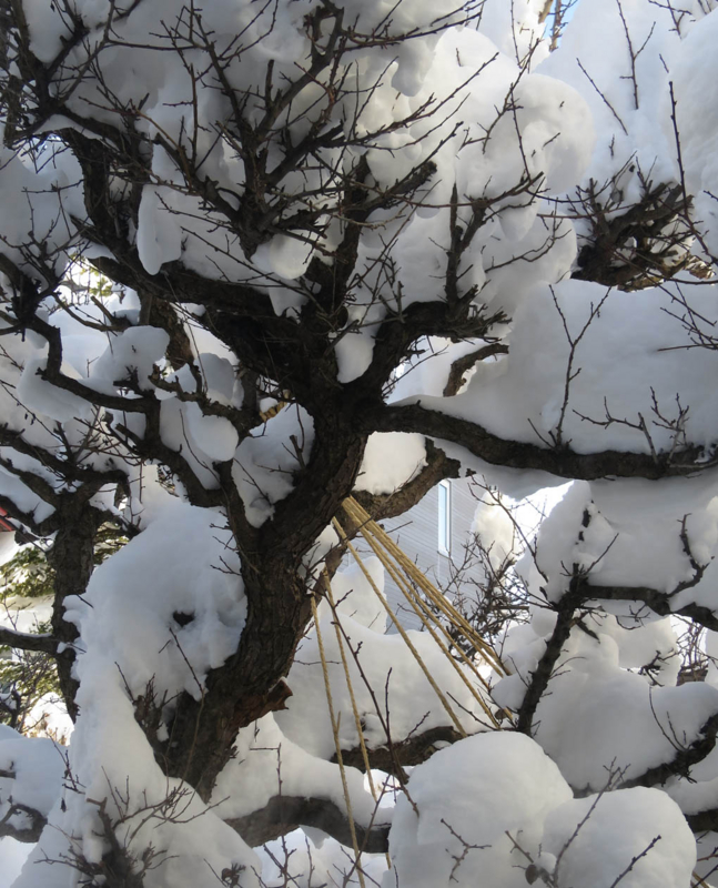 f:id:atarou:20140106090058j:image