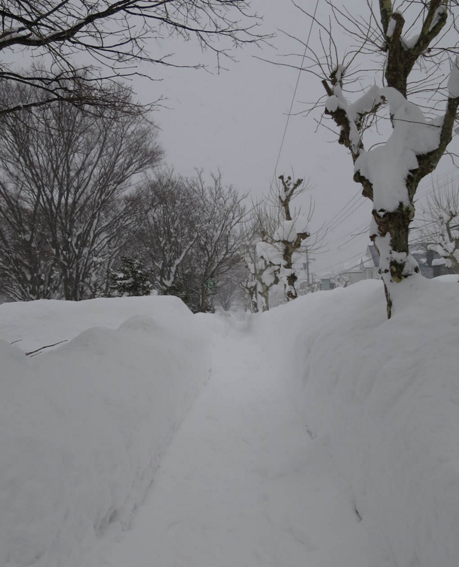 f:id:atarou:20140106091322j:image